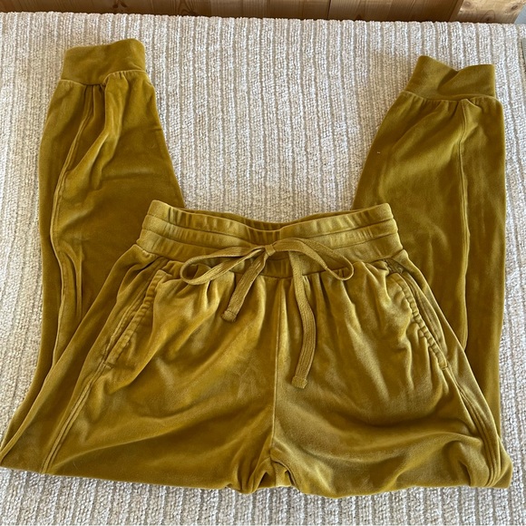 Anthropologie Saturday Sunday Merida Velvet Joggers Size XS - Picture 3 of 6